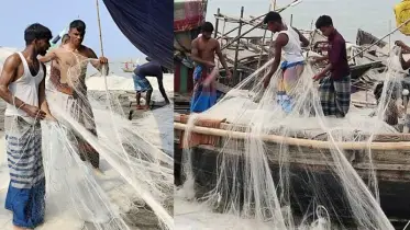 ইলিশ ধরার দুই মাসের নিষেধাজ্ঞা শেষে প্রস্তুত জেলেরা