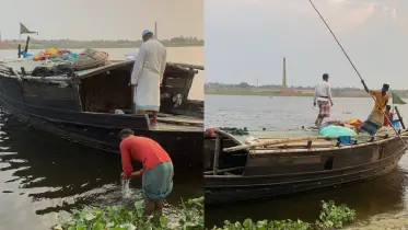ধলেশ্বরীর ঘাটে ভেসে এলো মিষ্টি আলুর নৌকা