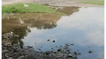 তারাগঞ্জে বিদ্যালয়ের খেলার মাঠে জলাবদ্ধতা, সংস্কারের দাবি শিক্ষার্থীদের