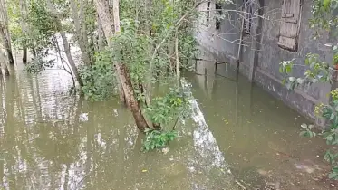বৃষ্টিতে ভেসে গেছে উপকূলের পুকুর ও মৎস্য ঘের, বিপাকে চাষিরা