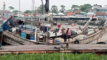 লোকসানের ধকল যেন পিছু ছাড়ছে না কলাপাড়া উপকূলের জেলে ট্রলার মালিকদের তবু সাগরযাত্রায় ইলিশের আশায়