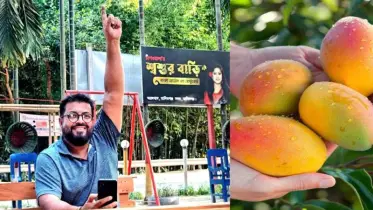নায়ক থেকে আম বিক্রেতা, ওমর সানী