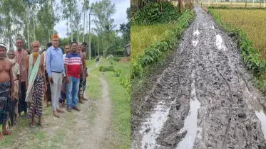 জনকণ্ঠে সংবাদ প্রকাশের পর সড়ক পরিদর্শন করলেন উপজেলা প্রকৌশলী