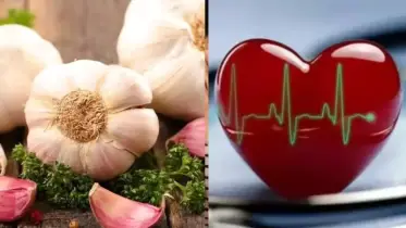 রসুন কি আপনার হৃদরোগের বন্ধু, না শত্রু?