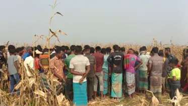 চুয়াডাঙ্গায় এক ব্যক্তির অর্ধগলিত লাশ উদ্ধার