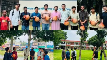 কটিয়াদীতে পাখির অভয়ারণ্য তৈরির জন্য গাছে গাছে মাটির কলসি স্থাপন!