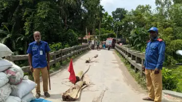 ঝুঁকিপূর্ণ ব্রিজ, দুর্ভোগে ২৪ গ্রামের ২৯ হাজার মানুষ