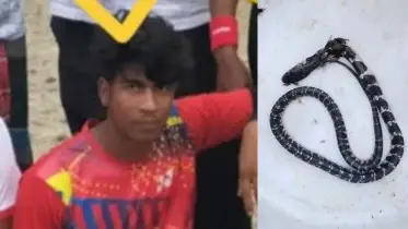 সাপ নিয়ে খেলতে গিয়ে কিশোরের মর্মান্তিক মৃত্যু