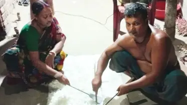 হাতি ঘোড়া তৈরি করেও সংসারের উন্নতি হচ্ছে না