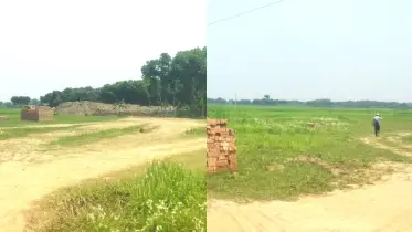 ফসলি জমিতে অবৈধ ইটভাটা, মাটি টানা ট্রাক্টরের চাপায় কলেজ ছাত্র নিহত