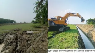 আমতলীতে পানি উন্নয়ন বোর্ডের জমি দখল করে মাছের ঘের নির্মাণের অভিযোগ