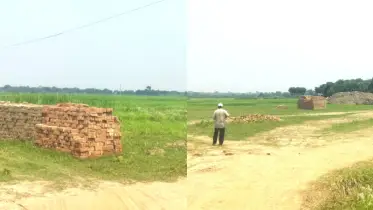 ফসলি জমিতে অবৈধ ইটভাটা, কলেজ ছাত্র নিহত
