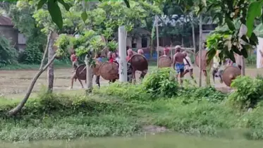 মাছ কেনা নিয়ে দুই গ্রামবাসীর তুমুল সংঘর্ষ, আহত অর্ধশত