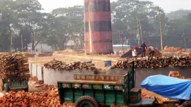 রামগঞ্জে ইট ভাটার কারণে পরিবেশ দূষণ ও স্বাস্থ্য ঝুঁকিতে জনগণ 