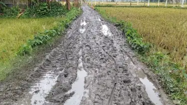 ভূরুঙ্গামারীতে রাস্তার বেহাল দশা, দুর্ভোগ চরমে