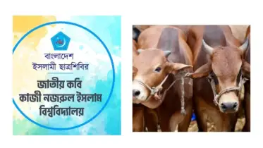 নজরুল বিশ্ববিদ্যালয় ছাত্রশিবিরের ঈদ আয়োজনে ‘কুরবানি ফেস্ট’