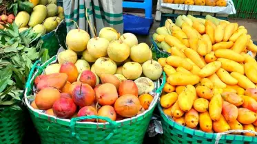 পাহাড়ি রুপালী ও বার্মিজ রাঙ্গোয়াই আমে আস্থা বাড়ছে ক্রেতাদের