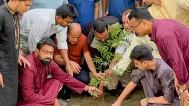 শহীদ রাষ্ট্রপতি জিয়াউর রহমানের শাহাদাত বার্ষিকী উপলক্ষে ৪৪ টি জিয়া ট্রি রোপন