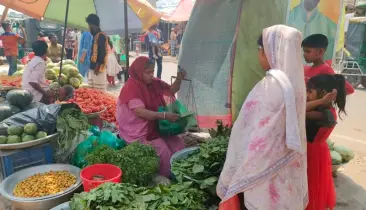 জীবন যুদ্ধে হার না মানা সংগ্রামী নারী রাবিয়া খাতুন