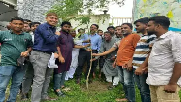 নাগরপুরে ছাত্রদলের ব্যতিক্রমী উদ্যোগ: ঔষধি-ফলজ গাছে সবুজের বার্তা