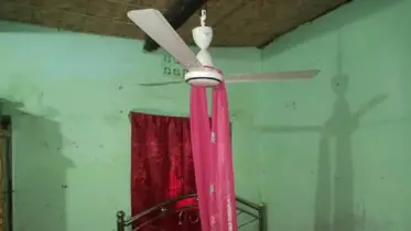 একটি সাবজেক্ট, একটিই জীবন: পলাশবাড়ীর মেয়ে লাবণ্য আর নেই