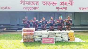 নালিতাবাড়ী সীমান্তে বিজিবির অভিযানে ৩৩ লাখ টাকার ভারতীয় শাড়ি জব্দ