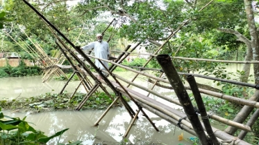 চরাদি ইউনিয়নের হলতা খালের উপর নির্মিত বাঁশের সাঁকো