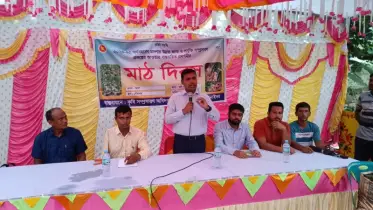 বস্তায় আদা চাষে কৃষকের আগ্রহ চোখে পড়ার মতো, মাঠ দিবসে ভিড়