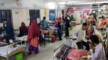 ৯ বছর পর রাঙামাটিতে ফের ম্যালেরিয়ার হানা: শিশু শিক্ষার্থীর মৃত্যু
