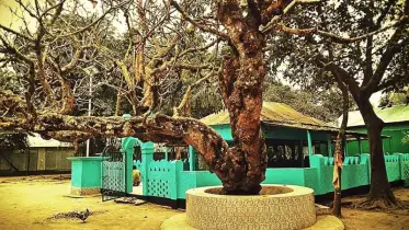 শেরপুরের ইতিহাস-ঐতিহ্যের জীবন্ত সাক্ষী, শের আলী গাজীর মাজার
