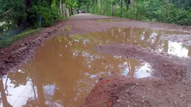 চাকামইয়া-তারিকাটা সড়কে ফের দুর্ভোগ: এক বছরেই খানা-খন্দে পরিণত