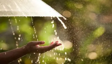 বৃষ্টির দিনে বিপদ নয়, হোক নিরাপত্তা এবং স্টাইলের উৎসব ও চলাচল