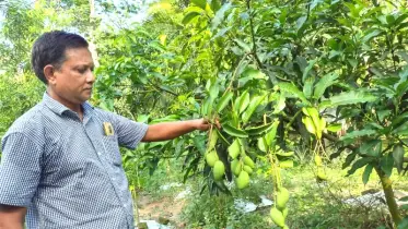 দেশ-বিদেশের স্বাদ এক বাগানে—চট্টগ্রামের তৈয়ব হয়ে উঠেছেন গাছের বন্ধু