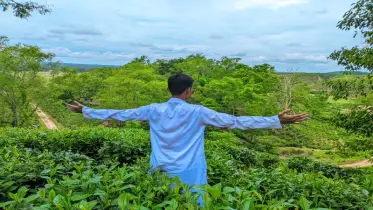 নেপচুন চা বাগান: সবুজ পাতায় ইতিহাসের গন্ধ