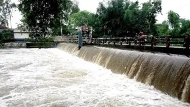 পঞ্চগড়ে স্লুইসগেটের যন্ত্রণায় দগ্ধ বুড়ি তিস্তা: মরছে নদী, কাঁদছে মানুষ