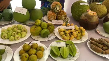 ফল মেলা ও মৌসুমি ফল: পুষ্টির উৎস থেকে কৃষির সম্ভাবনার কেন্দ্রবিন্দু