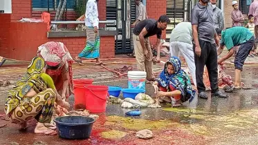 কোরবানি পশুর বর্জ্য পরিষ্কারে করণীয় কী?