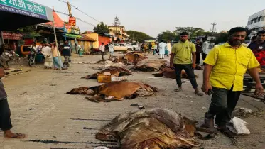 তিন লক্ষ টাকার গরুর চামড়া বিক্রি ৩০০ টাকা