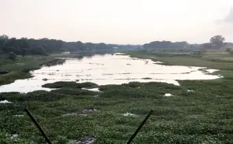 কটিয়াদীর দুঃখ নরসুন্দা নদ,সংস্কারের অভাবে বিলুপ্তির পথে প্রায়