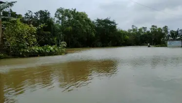 চুনারুঘাটে তিন দিনের ভারি বর্ষণে তলিয়ে গেছে রোপণকৃত ধানের জমি, জনজীবনে অচলাবস্থা