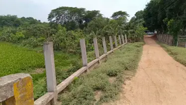 ঝিনাইদহের কালীগঞ্জে অর্ধশত বিঘা নদী দখল করে রেখেছেন আওয়ামী লীগ নেতা ও তার পরিবার
