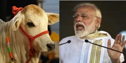কোরবানিতে ভারতকে বয়কট, গরু রপ্তানিতেও টেক্কা বাংলাদেশের!
