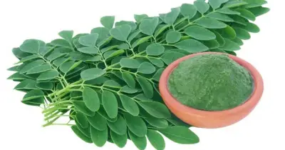 আর্থ্রাইটিস, ডায়াবেটিস ও হাইপ্রেসার নিয়ন্ত্রণে সজনে পাতা