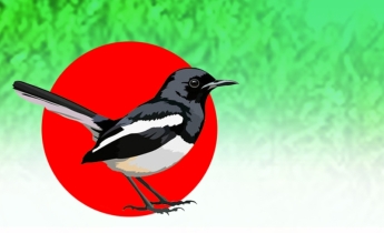 বিলুপ্তির পথে জাতীয় পাখি দোয়েল