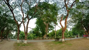 আড্ডা আন্দোলন ও অনুভবের প্রতিচ্ছবি ইবির ডায়না চত্ত্বর