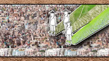 অপরিকল্পিত নগরায়নে বিলীন হচ্ছে কৃষি জমি