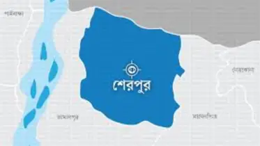 শেরপুরে গলায় লিচুর বিচি আটকে শিশুর মৃত্যু