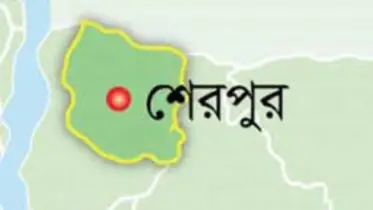শেরপুরে গলায় লিচুর বিচি আটকে শিশুর মৃত্যু