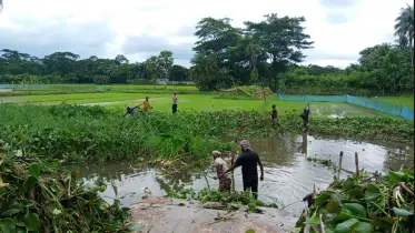 মঠবাড়িয়ায় এবার ইউএনও এর উদ্যোগে নাব্যতা হারানো খালে পরিষ্কার-পরিচ্ছন্নতা অভিযান