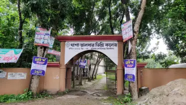 কোটচাঁদপুরে গাছে গাছে ঝুলছে পোষ্টার, নীরবে কাঁদছে প্রকৃতি